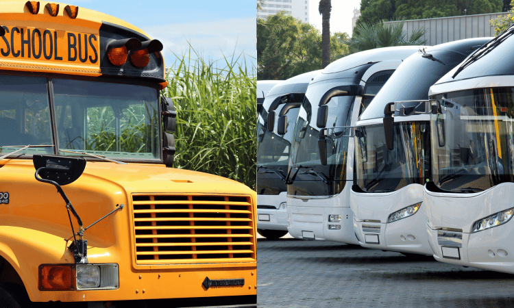 School Bus and Passenger ELDT - Dallas TX